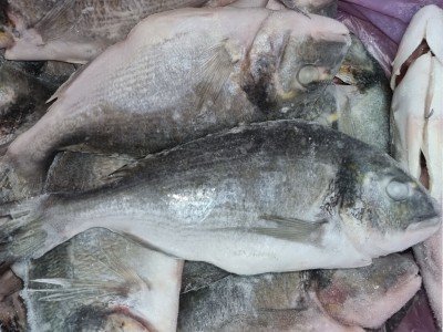 dorada mrożona i patroszona